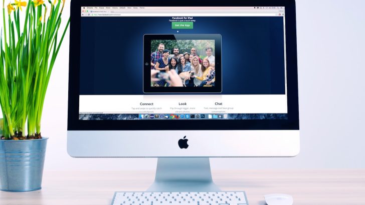 ELEMENTOR CLASS 2024